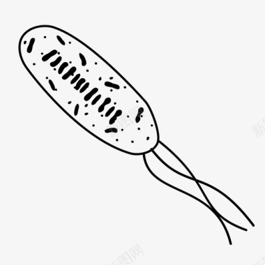 细菌芽孢杆菌细胞图标图标