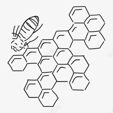 蜂巢蜜蜂养蜂图标图标