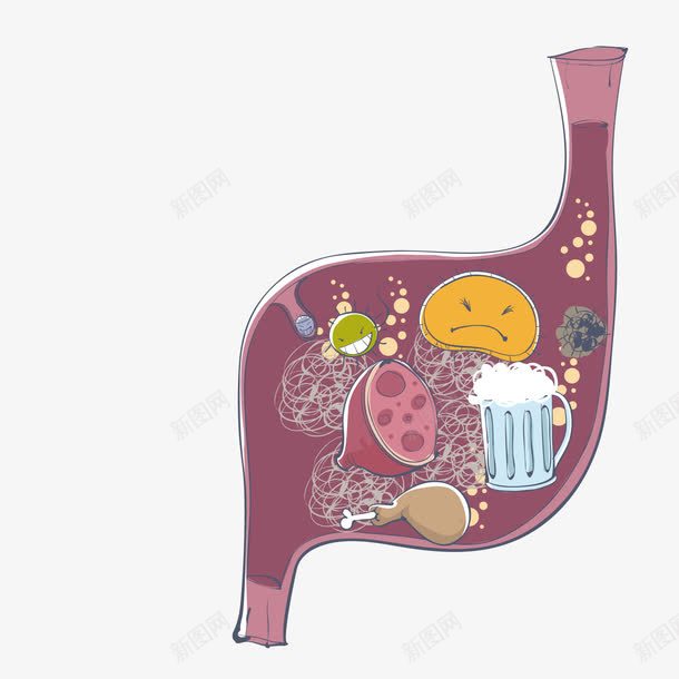 充满食物的胃png免抠素材_新图网 https://ixintu.com 活菌 食物 饮料