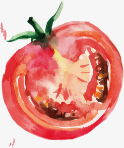 西红柿手绘装饰矢量图素材