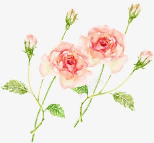 两朵粉色花朵png免抠素材_新图网 https://ixintu.com 两朵 粉色 花朵