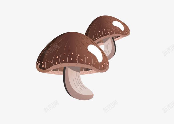 蘑菇png免抠素材_新图网 https://ixintu.com 灰色 菌类 蘑菇