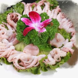 鱿鱼拼盘素材