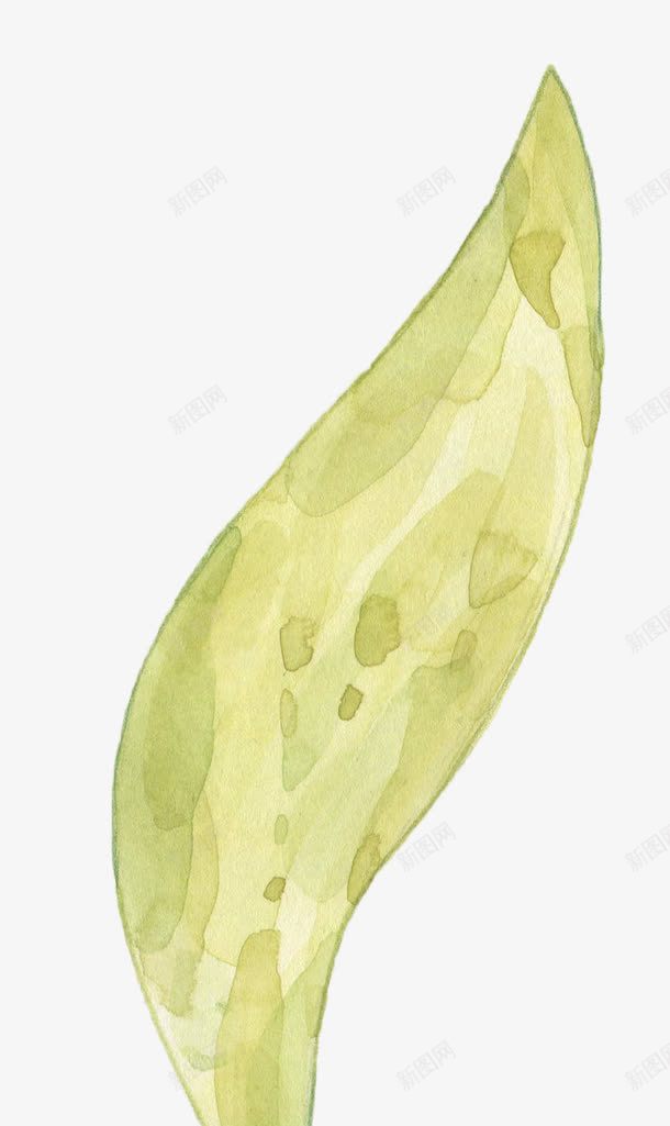 一片树叶png免抠素材_新图网 https://ixintu.com PNG图形 PNG装饰 手绘 树叶 植物 装饰