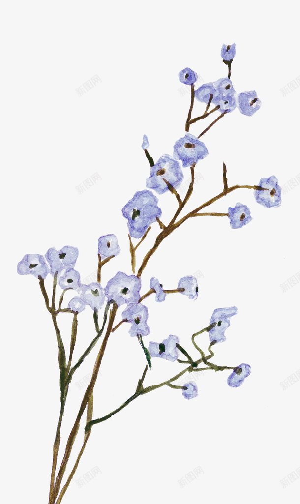 蓝色手绘树枝上的花朵png免抠素材_新图网 https://ixintu.com 手绘植物 树叶 树枝 植物 绿植 花卉 花朵