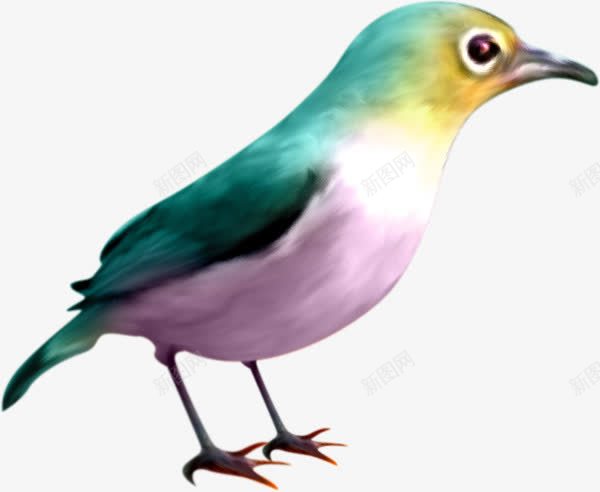 绘画彩色鸟png免抠素材_新图网 https://ixintu.com 彩色鸟 手绘 油画 绘画
