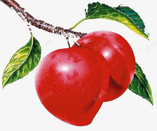 新鲜苹果png免抠素材_新图网 https://ixintu.com 圆圆苹果 大红苹果 水果 红苹果