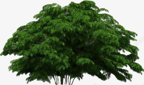 绿色的树png免抠素材_新图网 https://ixintu.com png素材 树 植物 绿树