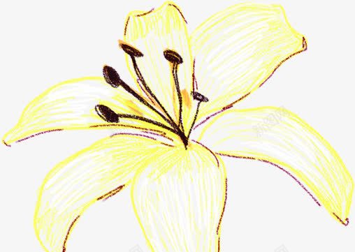浅黄色唯美花朵png免抠素材_新图网 https://ixintu.com 唯美 浅黄色 素材 花朵