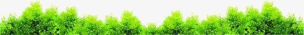 效果教师节植物绿色树木png免抠素材_新图网 https://ixintu.com 效果 教师节 树木 植物 绿色