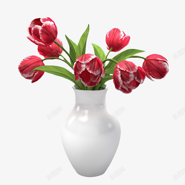 白边红色鲜花束png免抠素材_新图网 https://ixintu.com 白色 白色花瓶 白边红色鲜花束 红色 红色鲜花 红色鲜花束 鲜花束