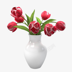 白边红色鲜花束白边红色鲜花束高清图片