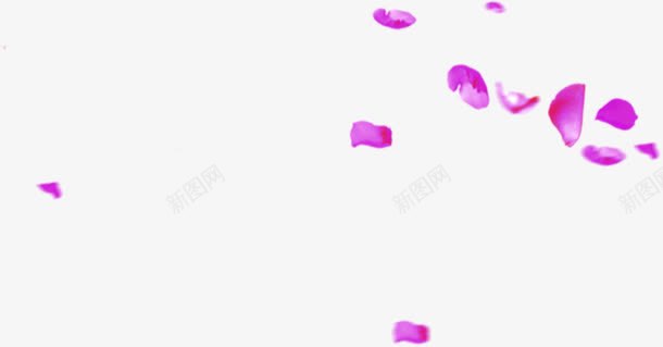 创意海报紫色花瓣png免抠素材_新图网 https://ixintu.com 创意 海报 紫色 花瓣
