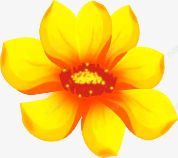 艳色黄色花卉海报png免抠素材_新图网 https://ixintu.com 海报 花卉 黄色