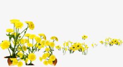 春天黄色花朵路边装饰素材