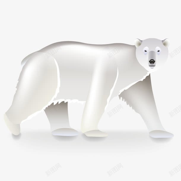 动物北极熊png免抠素材_新图网 https://ixintu.com 北极神物 狗熊 白熊 白色 食肉动物