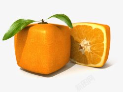 正方形的橙子元素素材