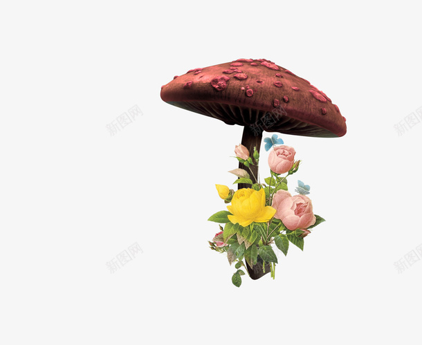蘑菇花朵psd免抠素材_新图网 https://ixintu.com 玫瑰 花朵 蘑菇 鲜花