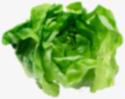 绿色包菜菜花素材