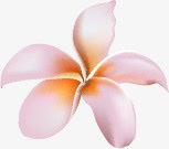 粉色花朵可爱唯美png免抠素材_新图网 https://ixintu.com 可爱 粉色 花朵
