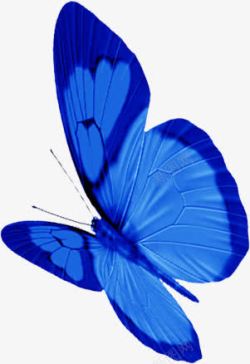 蓝色纹理蝴蝶装饰素材