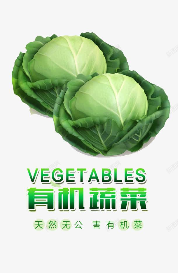 有机蔬菜png免抠素材_新图网 https://ixintu.com 健康 有机 绿色 蔬菜 食物