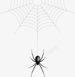 手绘蜘蛛网素材