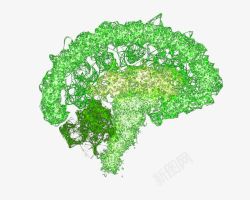 脑图案绿色脑形线条图案高清图片