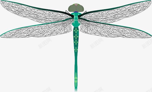 蜻蜓装饰图png免抠素材_新图网 https://ixintu.com 动物 简单 素色 蜻蜓 装饰