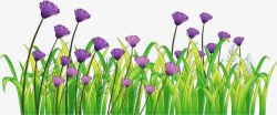 美丽小紫花小草鲜花高清图片