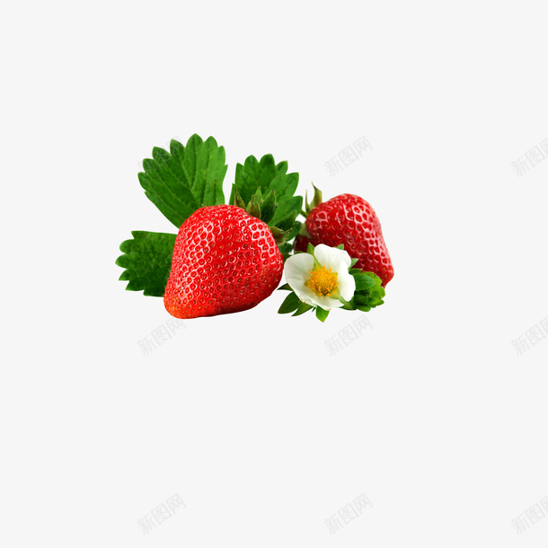 魅夏草莓海报psd免抠素材_新图网 https://ixintu.com 水果素材 草莓海报 设计素材