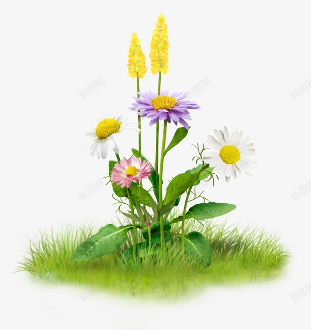 白色紫色黄色花朵绿叶png免抠素材_新图网 https://ixintu.com 白色 紫色 绿叶 花朵 黄色