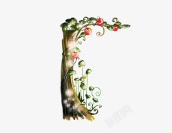 苹果树素材