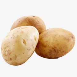 三个马铃薯三个土豆高清图片