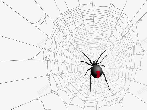 蜘蛛网上的蜘蛛png免抠素材_新图网 https://ixintu.com png png图片 动物 爬行 蜘蛛 蜘蛛网