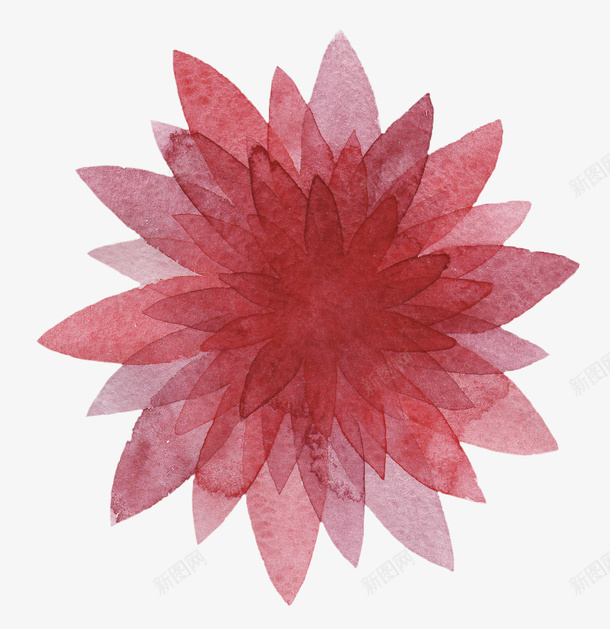 紫红色花朵png免抠素材_新图网 https://ixintu.com 手绘植物 植物 水彩花卉 花卉 花朵
