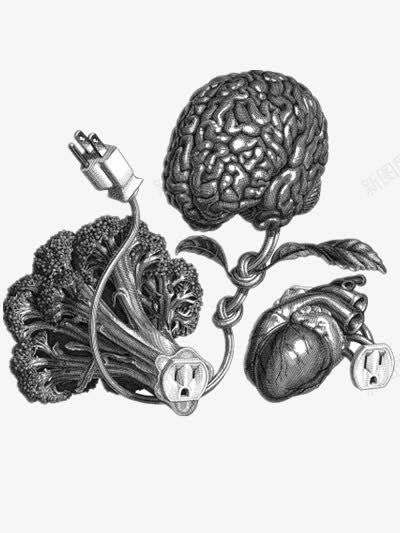 人脑细胞插画png免抠素材_新图网 https://ixintu.com 个性 抽象 插画 设计 黑白