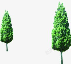 创意绿色树木合成效果素材