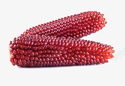 两根玉米png免抠素材_新图网 https://ixintu.com 成熟 红色 颗粒