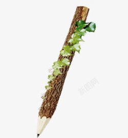 春天植物绿叶铅笔素材