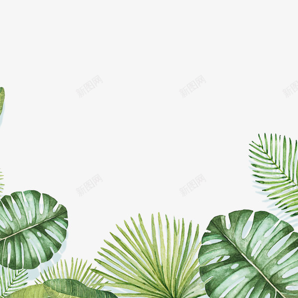 手绘绿色植物png图片免费下载 素材0njjjgpuj 新图网 手绘绿色植物png图片免费下载 素材0njjjgpuj 新图网