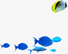一群鱼png免抠素材_新图网 https://ixintu.com 一群鱼 蓝色的鱼 鱼