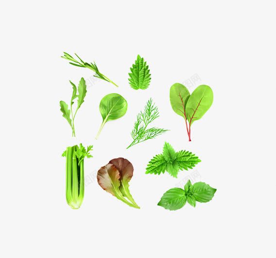 各种各样的菜png免抠素材_新图网 https://ixintu.com 健康菜 有机菜 绿色菜 营养健康 蔬菜叶