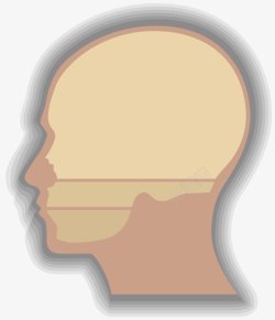 人体的头部器官卡通素材