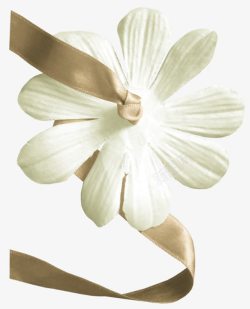 丝带白色花瓣素材