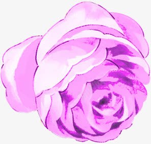 手绘美丽紫色玫瑰png免抠素材_新图网 https://ixintu.com 玫瑰 紫色 美丽