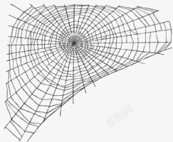 黑白蜘蛛网蜘蛛素材