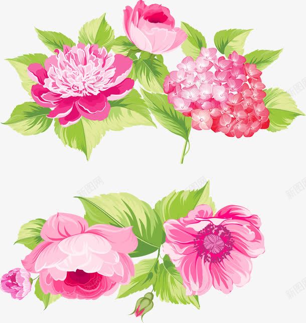 粉色手绘的花png免抠素材_新图网 https://ixintu.com png图形 png装饰 粉花 绿叶 花朵 装饰