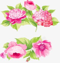 粉色手绘的花素材