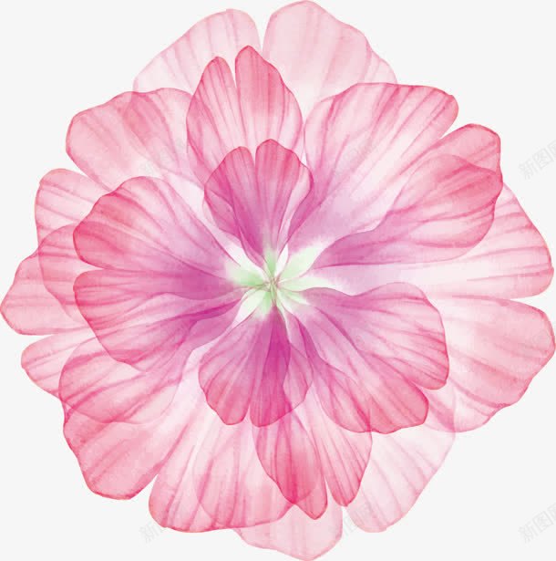 粉色幻丽的花朵png免抠素材_新图网 https://ixintu.com 粉色 花朵